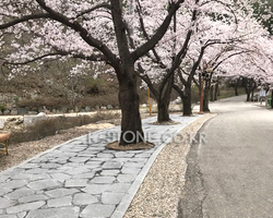 외부