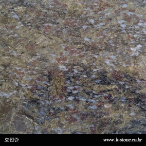 호접란