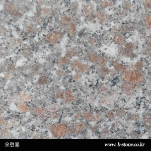 오련홍