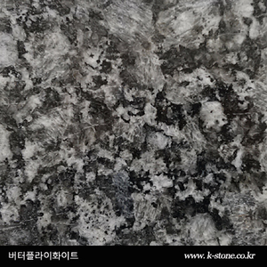버터플라이화이트